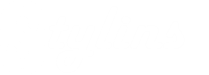 Stylins Logo